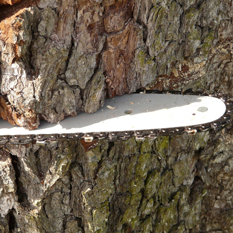 chainsaw maintenance
